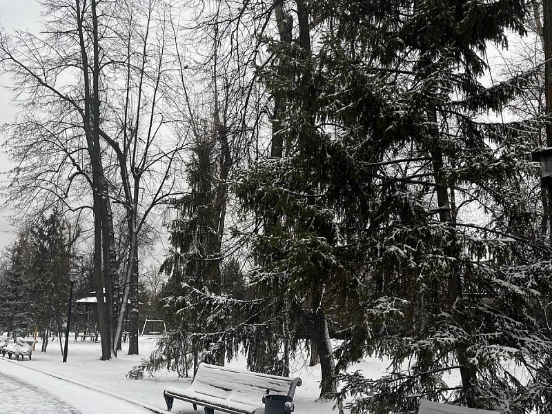 Зима в Казани: какие парки стоит посетить